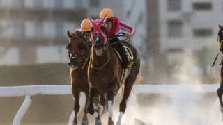 【名古屋グランプリ】マスターフェンサーが交流重賞3連勝！