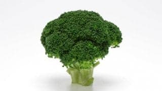 筋トレ民にブロッコリーが人気な理由って？栄養士が徹底解説！