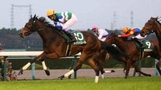 【阪神JF】出走馬の調教後の馬体重