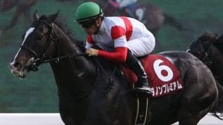 【香港カップ】出馬表が確定