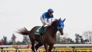 【香港マイル】出馬表が確定