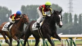 波乱ムード高まる。阪神JFで冬のボーナスを運んできてくれる穴馬４頭