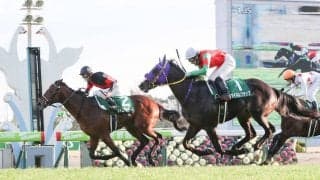 ヴァルディゼールが競走馬登録抹消