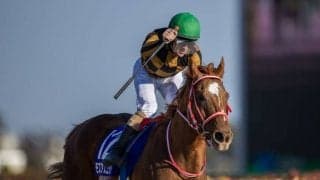 モズアスコットが競走馬登録抹消
