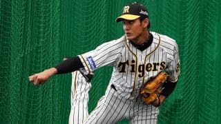 鮮烈だった162キロの衝撃　阪神・藤浪晋太郎は来季完全復活できるか？