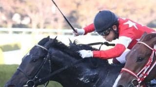 【朝日杯FS】登録馬と見どころ レッドベルオーブなど