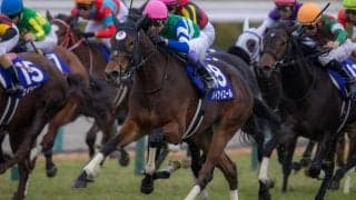 【阪神JF】武豊「惜しかった」レース後ジョッキーコメント