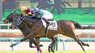 【新馬/中山5R】8番人気 グレートサークルがデビューV