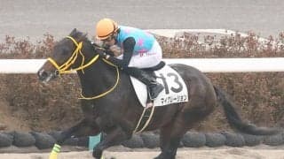 【新馬/中山6R】キンシャサノキセキ産駒 マイグレーションがデビューV