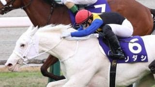 【阪神JF】吉田隼「馬に助けられました」ソダシが歴史的V