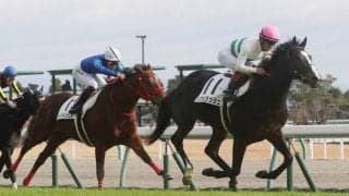 【新馬/中京5R】ルーラーシップ産駒 ソウルラッシュがデビューV