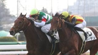 【新馬/中山5R】良血ディオスバリエンテがデビューV！母はディアデラノビア