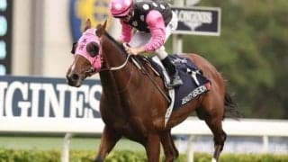 香港の名マイラー・ビューティージェネレーションが引退　豪州で余生を過ごす