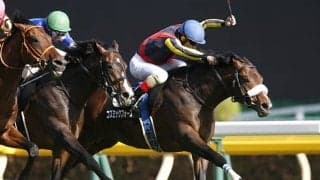 【麻生OP】日本ダービー3着馬コズミックフォースは1枠1番、芝重賞2勝馬ブレスジャーニーは7枠12番