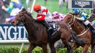 【香港スプリント回顧】ダノンスマッシュ　“龍王”の血が再び香港で轟く/栗山求コラム