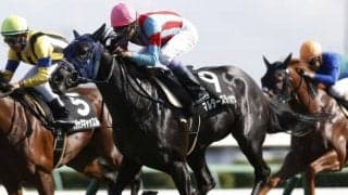 【ターコイズS】マルターズディオサは回避、阪神カップへ