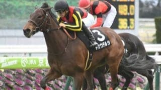 【ターコイズS】ドナウデルタはルメール騎手、スマイルカナは柴田大知騎手/想定騎手