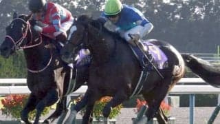 【次走】アリストテレスはAJCCへ　菊花賞でコントレイルのクビ差2着