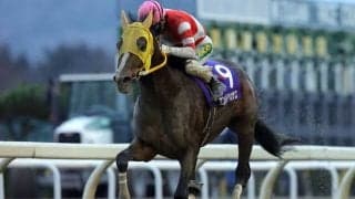 “岩手の有馬記念”桐花賞のファン投票中間発表が行われる