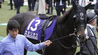 【先週のJRA抹消馬】“最強の1勝馬”エタリオウ、アーモンドアイ半弟サトノエスペランサなど