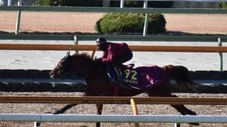 【有馬記念】ラッキーライラック、1週前追い切り速報/栗東トレセンニュース