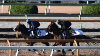 【ホープフルS】ダノンザキッド、1週前追い切り速報/栗東トレセンニュース