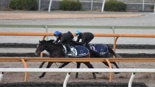 【有馬記念】クロノジェネシス1週前追い切り速報/栗東トレセンニュース