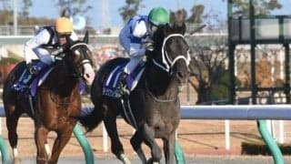 【次走】チュウワウィザードはサウジカップかフェブラリーステークス