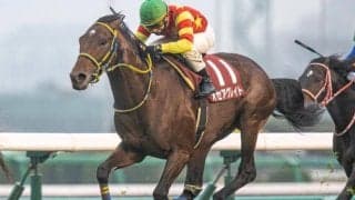 【有馬記念】オセアグレイトは横山典弘騎手とのコンビで出走へ　ステイヤーズS優勝馬