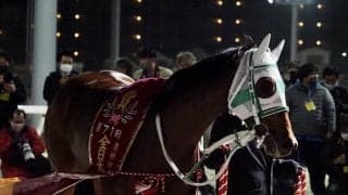 【全日本2歳優駿】林正人師「南関東代表してという気持ち強かった」アランバローズが交流G1初制覇