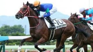 朝日杯FSで混戦必至も抜け出せる３頭。当日は馬場状態も要チェックだ