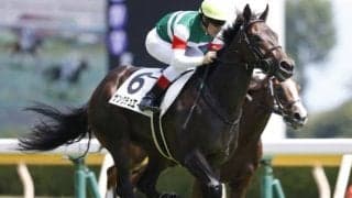 【ターコイズS予想】サンクテュエールの巻き返しに期待