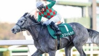 【本日の注目ポイント】中山で牝馬限定ハンデ戦・ターコイズS、阪神ではOP・タンザナイトS