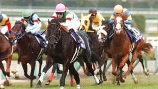 【朝日杯FS予想】 勝ち馬は血統と距離経験から見える!? 阪神のマイル戦を得意とする種牡馬とは？/JRAレース展望
