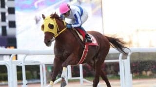 【シンビジウムOP】準重賞でアルタイルが6馬身差圧勝、久々のV！