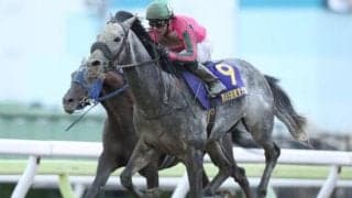 【東京大賞典】選定馬更新　サウンドトゥルー・リッカルドらが回避