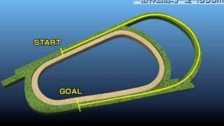 【朝日杯FS コース解説】長い直線+急坂で差せる馬が強く、紛れの少ないコース