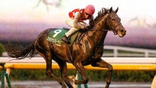 【朝日杯FS予想】人気薄を強気に狙いたい一戦！ 厩舎データから弾き出した今週の注目馬は? /JRAレース展望