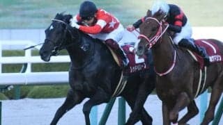 【朝日杯FS予想オッズ】デイリー杯覇者レッドベルオーブが人気の中心