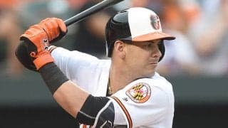 BC茨城、元大リーガーのアルバレスを獲得発表「最速157キロを記録した元祖二刀流」