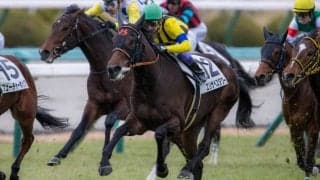 【新馬/阪神5R】武豊エリザベスタワーがデビューV