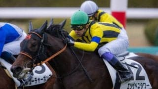 【新馬/阪神5R】武豊「乗り味すごく良い」エリザベスタワーがデビューV