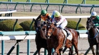 【阪神4R】良血サルファーコスモスが初勝利