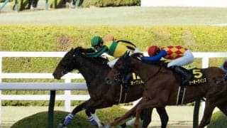 【ベテルギウスS】オーヴェルニュがオープン2勝目