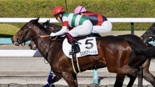 【新馬/阪神6R】ロードカナロア産駒 エルカスティージョが完勝