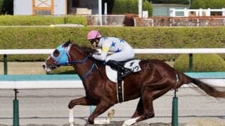 【新馬/阪神5R】モーリス産駒 タイソウが抜け出す