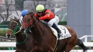 【新馬/中山5R】アールバロンがデビューV！ペルスネージュ7着敗退