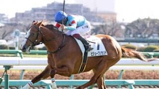 【新馬/中山5R】ビジューブリランテがデビューV！