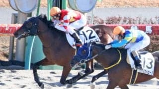 【新馬/中山6R】アメリカンファラオ産駒 ブラックロータスがデビューV