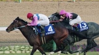 有馬記念で史上最高の復活劇。トウカイテイオーが起こした奇跡に感涙